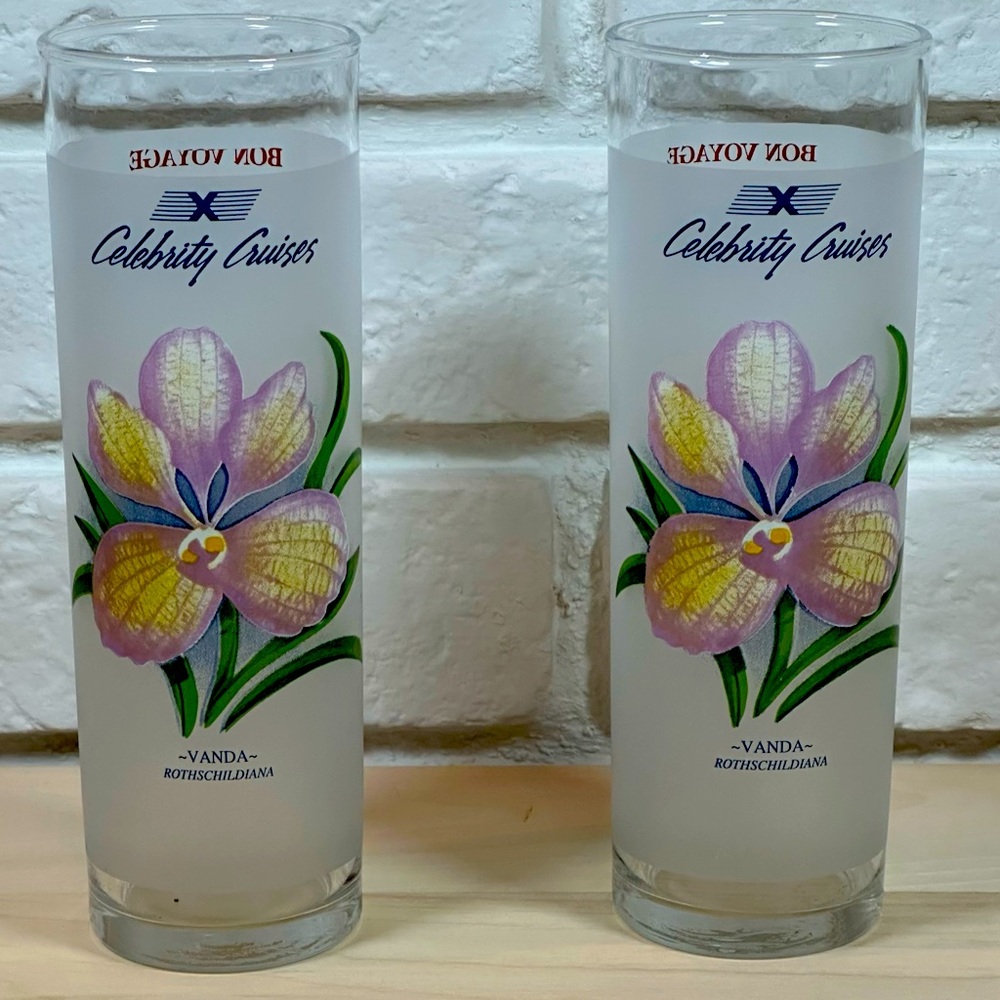 Celebrity Cruise Lines Orchid Frosted Cocktail Glasses (Set of 2)